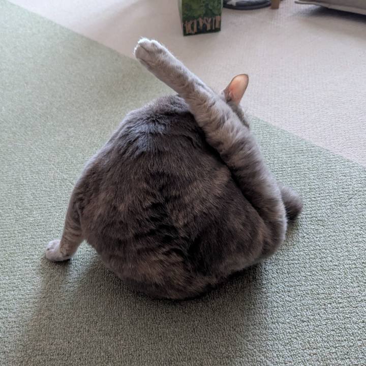 B74e2d19 5ea9 4a69 8bc3 66b2515e48b9 1760159578062