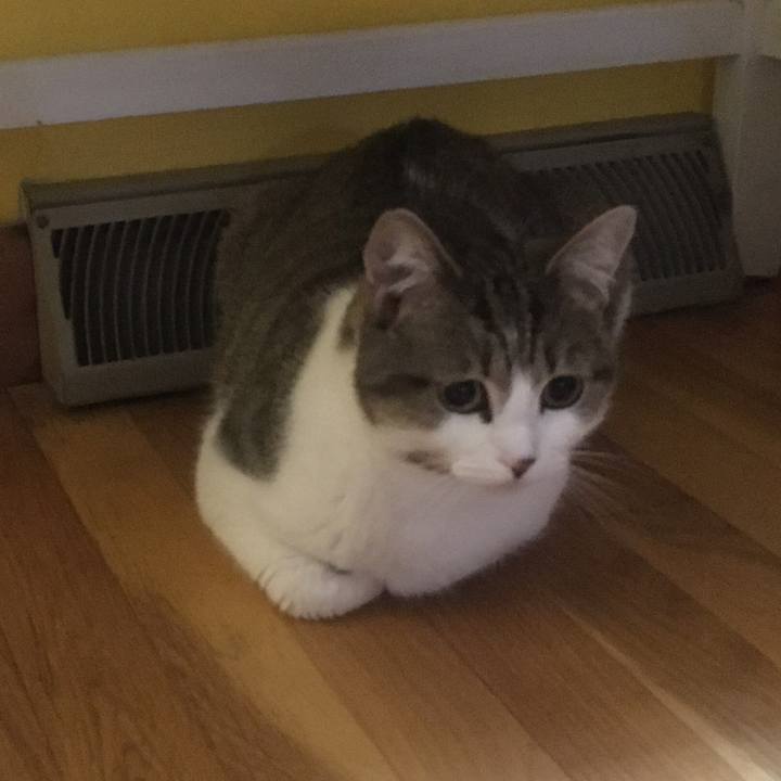 B74e3612 1283 4ab9 a067 40207acec863 1633135226600