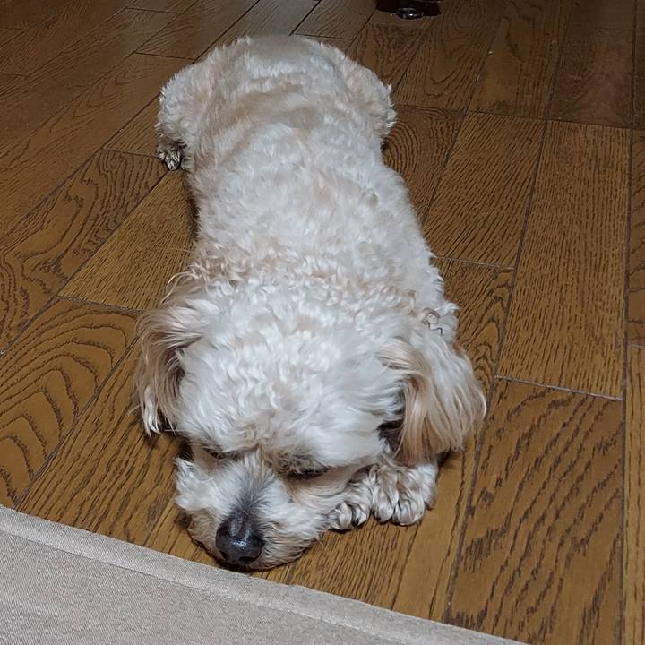 B74e809d 6205 4799 a4f0 3e895d58daf7 1654759130882