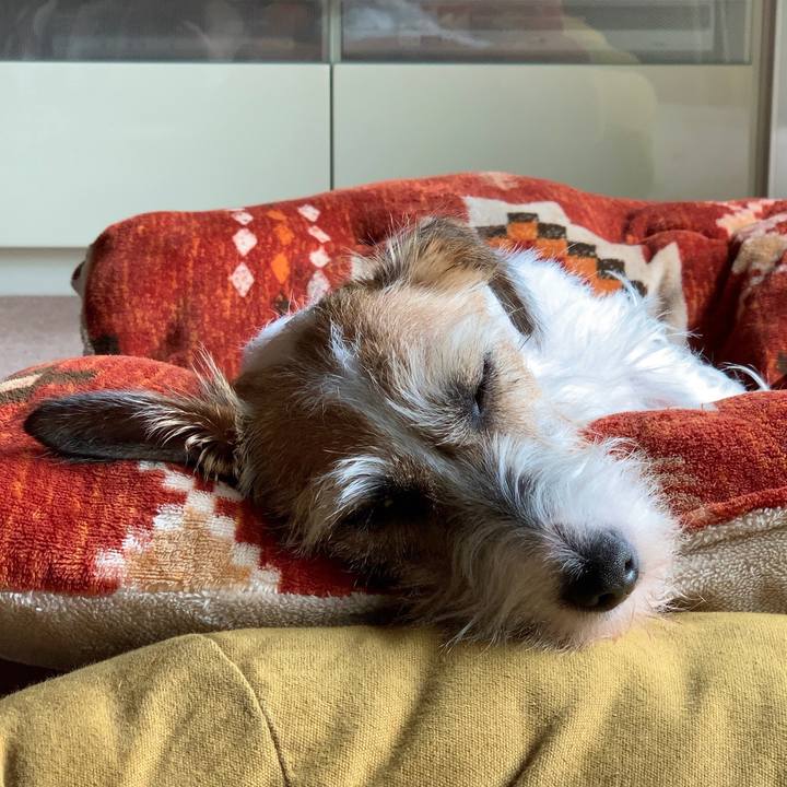 B74e93df 8880 4f94 a890 3f690ece303b 1595494344259