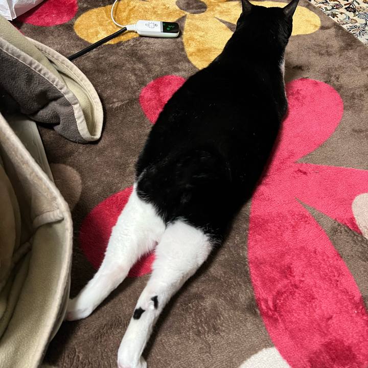 B74eac9a 616c 4962 9cbe 17687d7db160 1765874367112