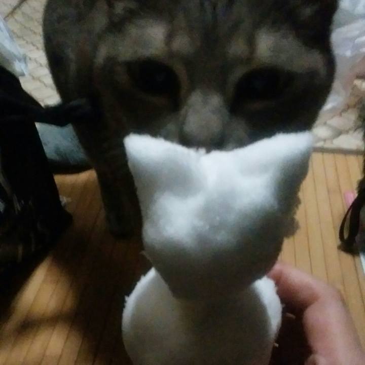 B74edd44 6c22 41c3 bca0 dc36f0436a67 1516635521488