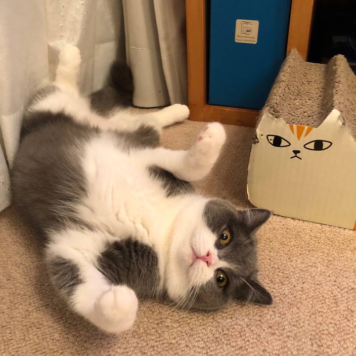 B74f2a9e 0008 4dbd 9a68 b8125e0e25a9 1518843716057