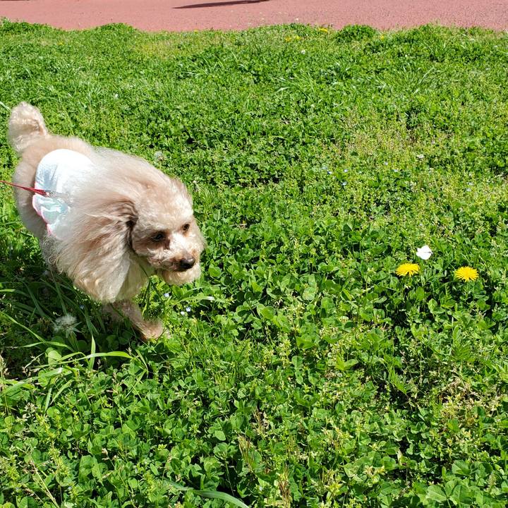 B74f5e3e 6eea 425f 8503 4f6592eee658 1617506383779