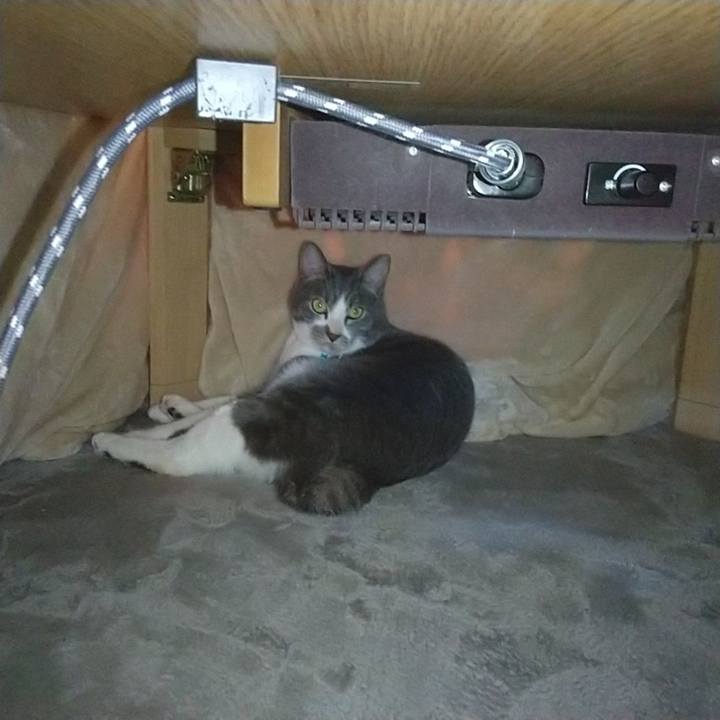 B74f6979 fcf9 4a19 a038 58f6efd3566d 1643871040704