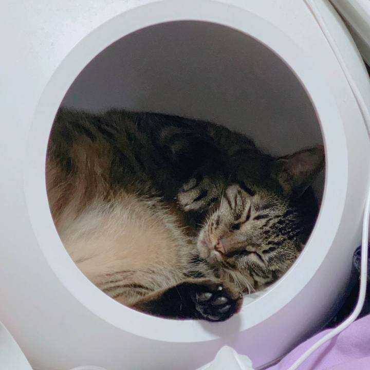 B74fae42 9f73 462c 8f9c b620a27cb5b1 1598194116796