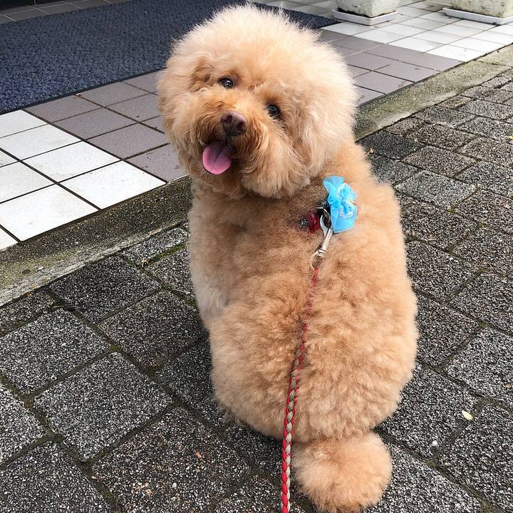 B74fd62c a0e1 4d8a b77e 8b8cd63e2b0c 1567856299118