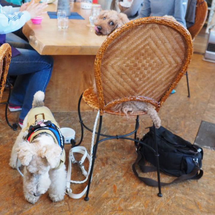 B74fda15 a1f9 4300 84ff 1dfc2bacabb4 1555163601855