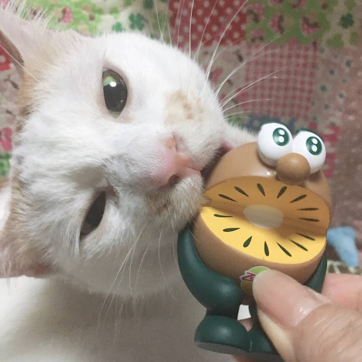 B75018b5 0cdb 434d 96bb b63aaeae905f 1569145202865