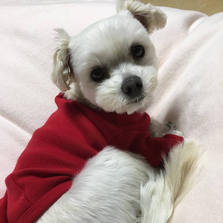 B7503abc e9d8 4060 a847 bcdba59b8485 1512655426760