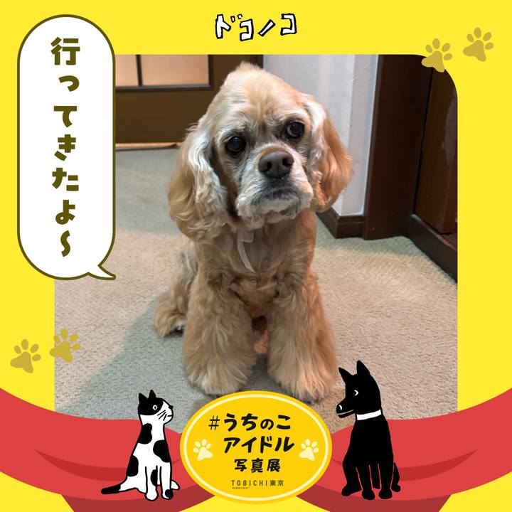 B7506cec 216f 4a3d acbc 4788aecb0047 1761472601044