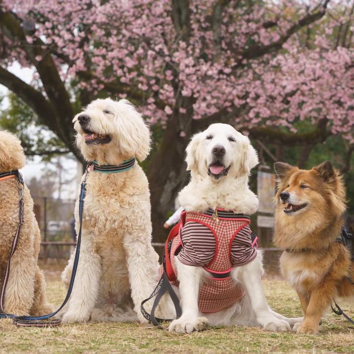 B750808c bfef 412f 8c14 5e22634f0aff 1615536979910