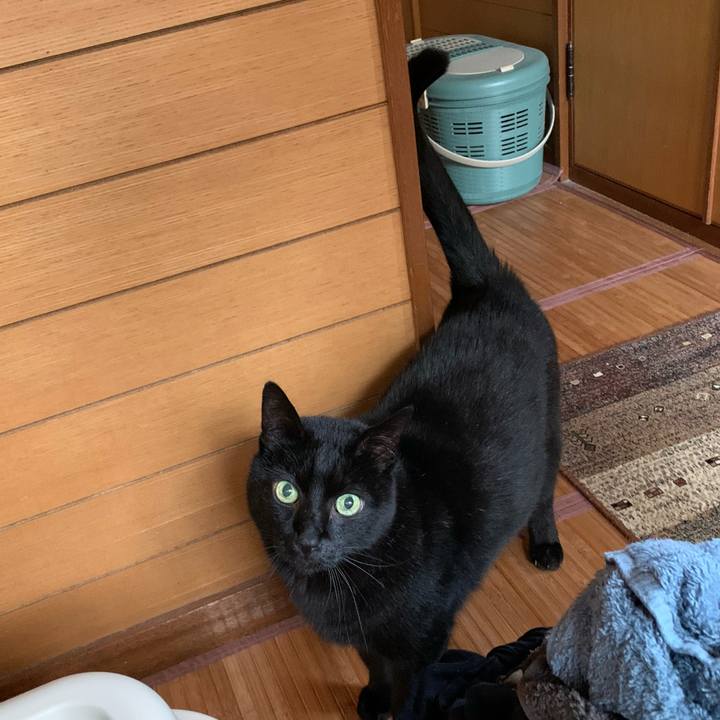 B7508af2 e35b 4e88 9b0b 7ec4b862ae28 1579224429984