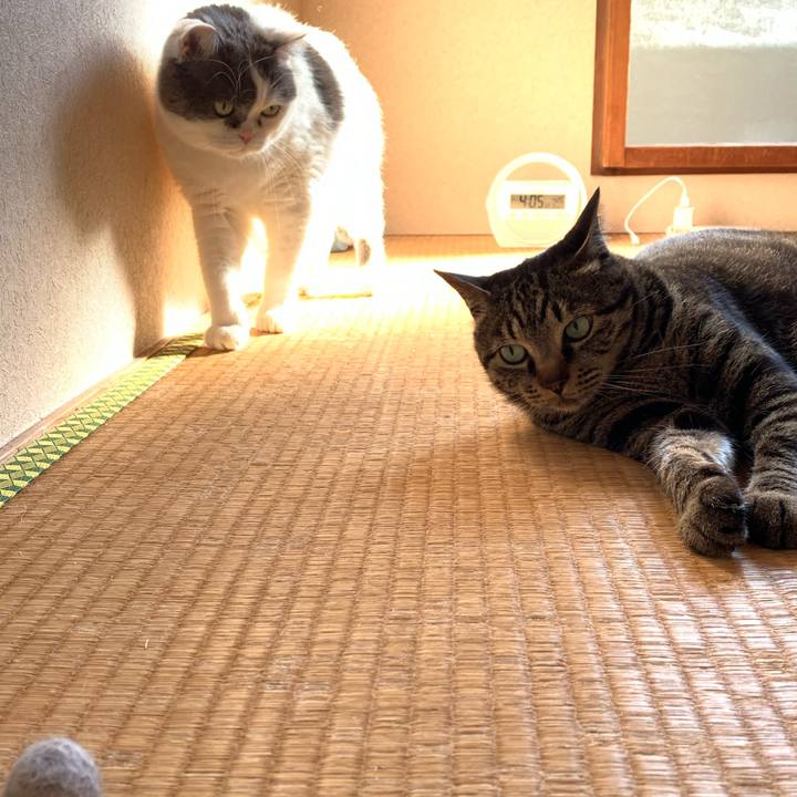 B7509268 11f1 4584 a13d af9a0ddcf8ce 1587813684086