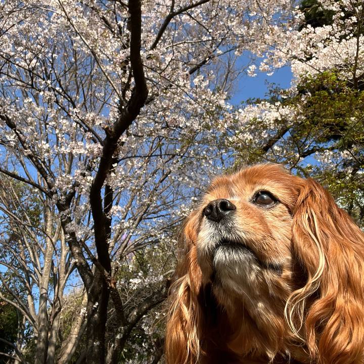 B750cc71 4169 4f49 84c9 7920f189829d 1775174879874