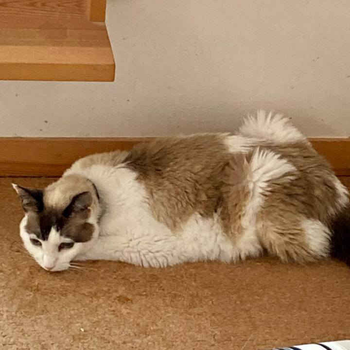 B750da4f 9d8c 4cc9 99cc 88fd502a56f5 1679368862024