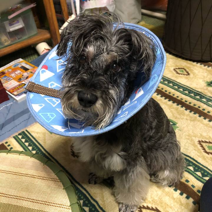 B7511339 98e8 4597 b5a7 1a7b608f2941 1685708976007