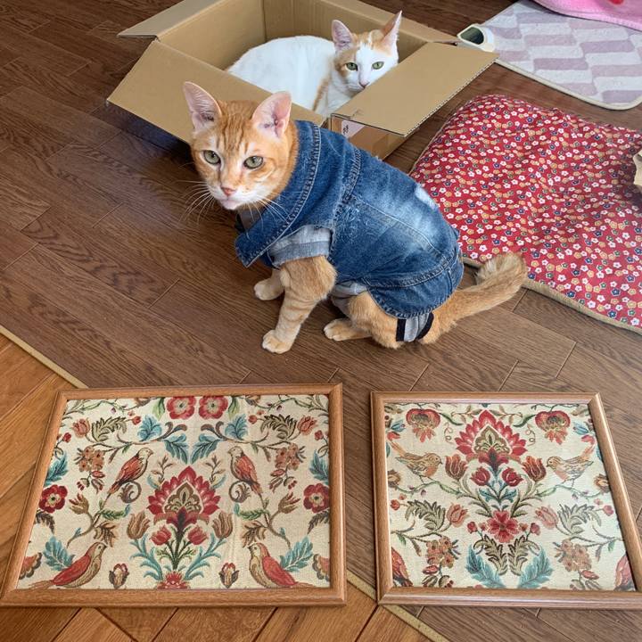 B751230f f4eb 499a b320 1b4c787b4e2e 1649505476729