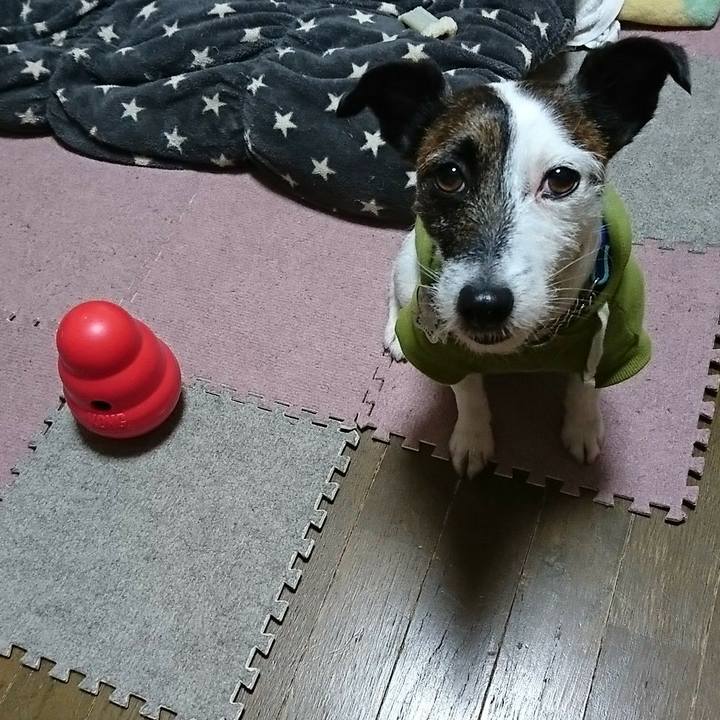 B7518f04 b6b7 4b1c ba05 76a9c78ad91c 1548421074042