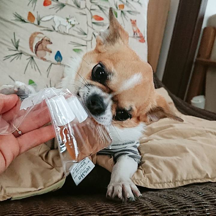 B751b8f8 1025 4b3b 8d22 efc827bc8ffe 1611485625007