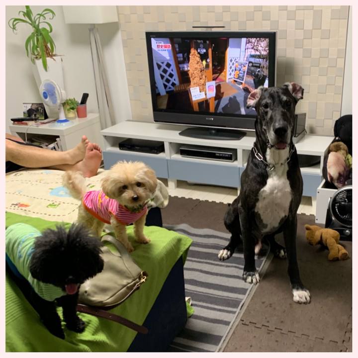 B751ea7a f05b 4dfe 905a a3eebf39b297 1556708203860