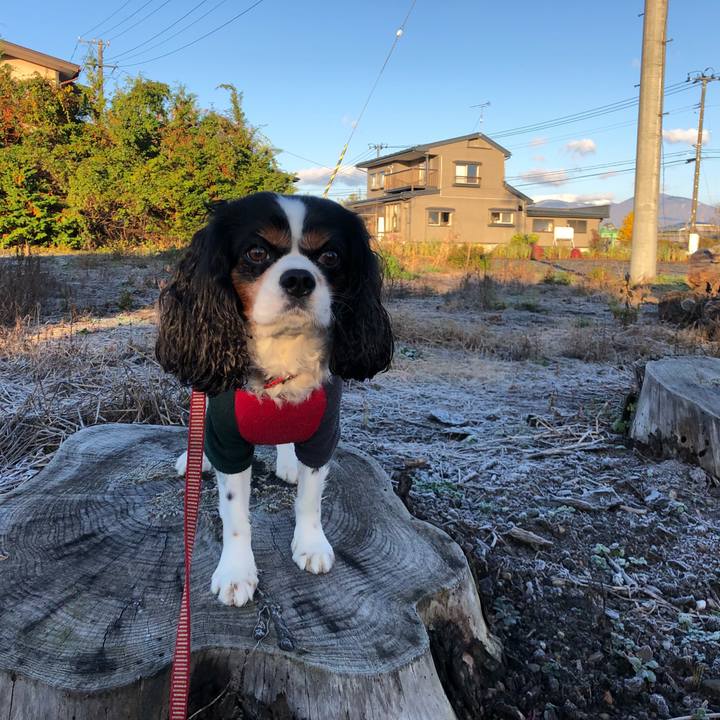 B7524c6a 7f94 4cc6 a3d3 6d547f4ff290 1541218262921