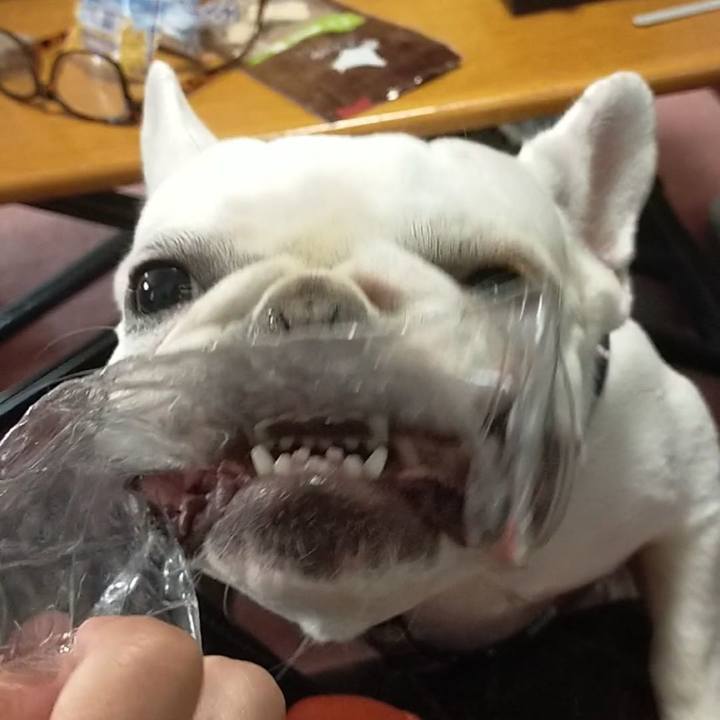 B752690c 8d94 4300 a067 d510c32a1812 1663757199095