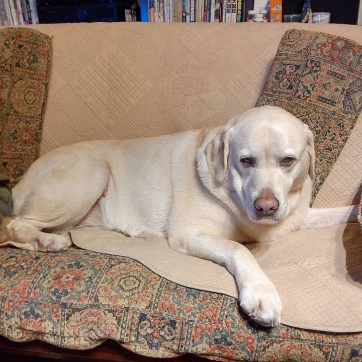 B752734a a000 4cff ad20 4b89c76b356c 1698319735207