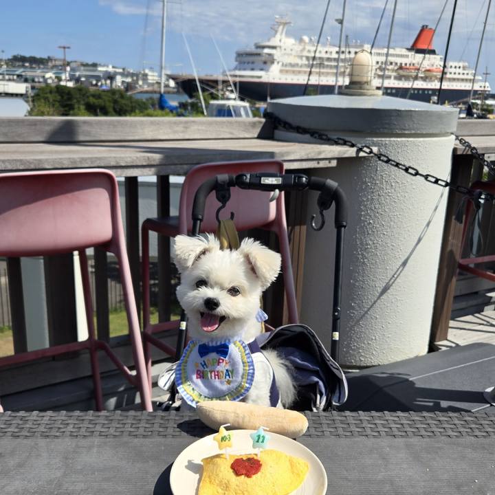 B7528186 ce13 472b 8a1f 62ddd88f806d 1758947608859