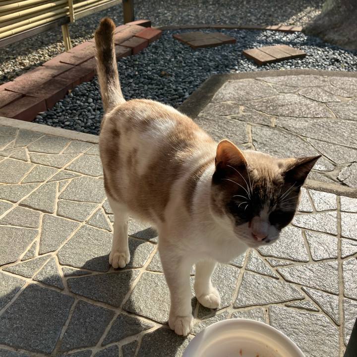 B752d314 090c 4b27 b990 72478556272f 1764110605607