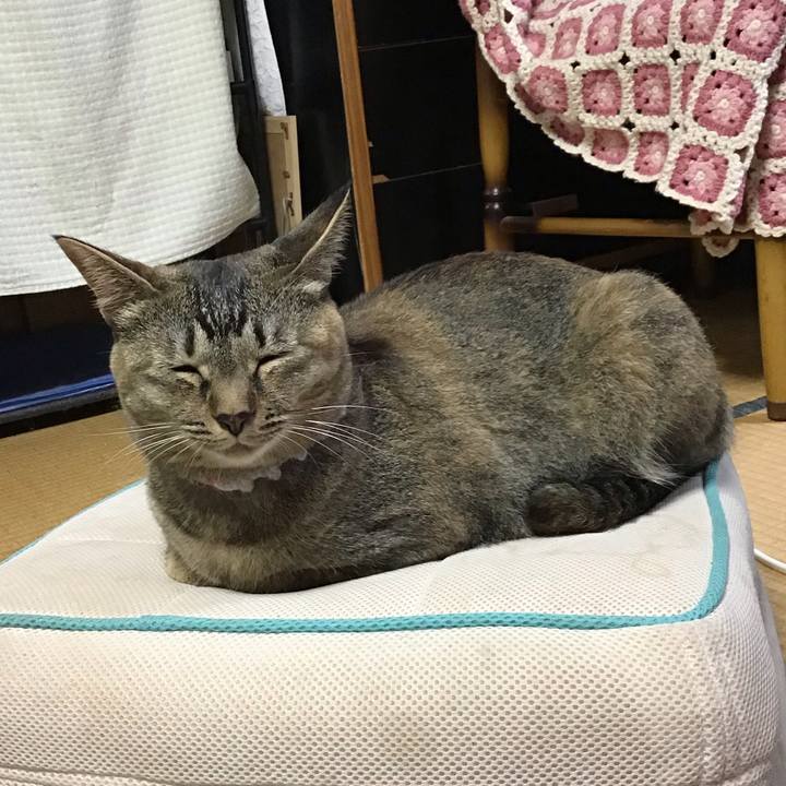 B752d800 96be 4cfa aa09 dffa6e54598c 1595666966515