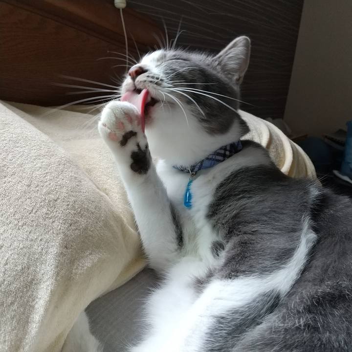 B752f46b 671a 4e80 ac52 1f0b6d696c6d 1600751180083