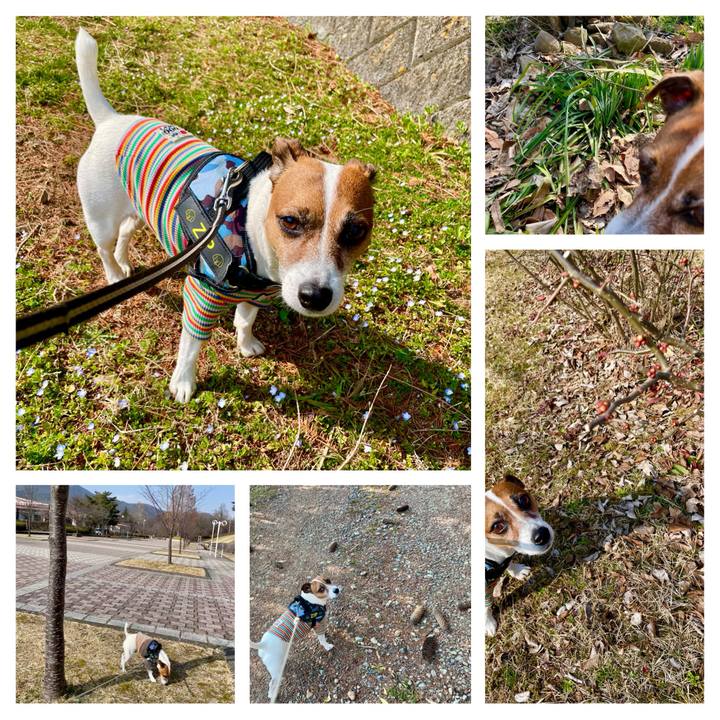 B752f519 9ef3 46b1 9958 d03fae11dac4 1741873341860