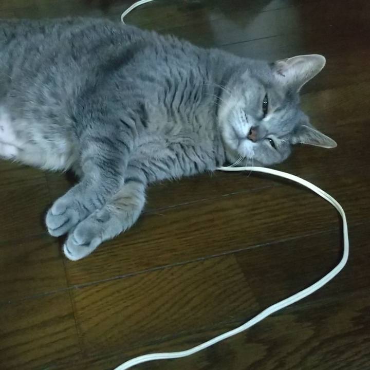 B753315f cb8c 4b66 aa4e 7b63d5a06f86 1659373565679