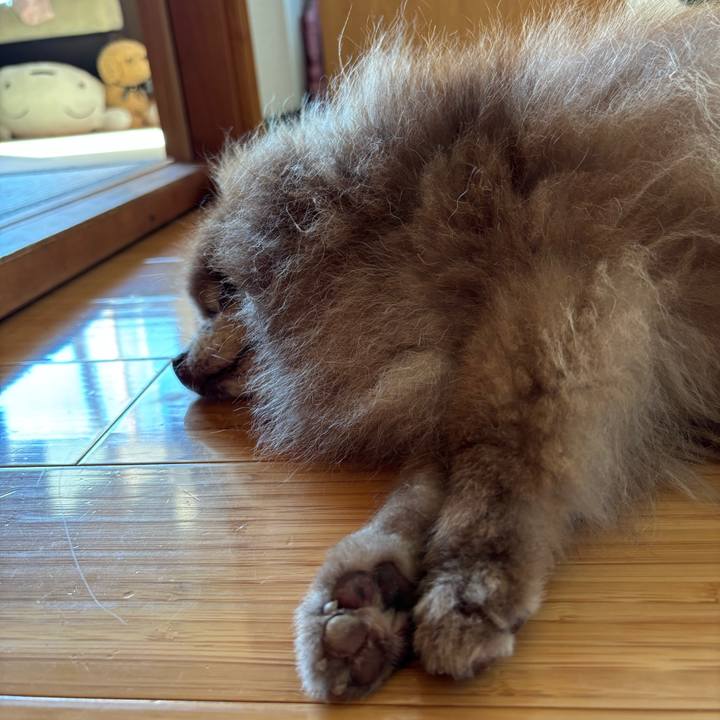 B753cb16 3927 4df6 8810 5b2c040ad56c 1757547685740