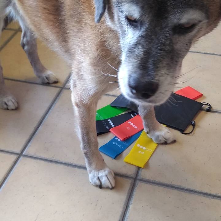 B753cd36 a38f 4980 95d5 3a2fa75acde1 1570354478102