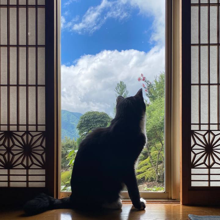 B753d10e a009 4983 b336 d03a0def6300 1599520775512