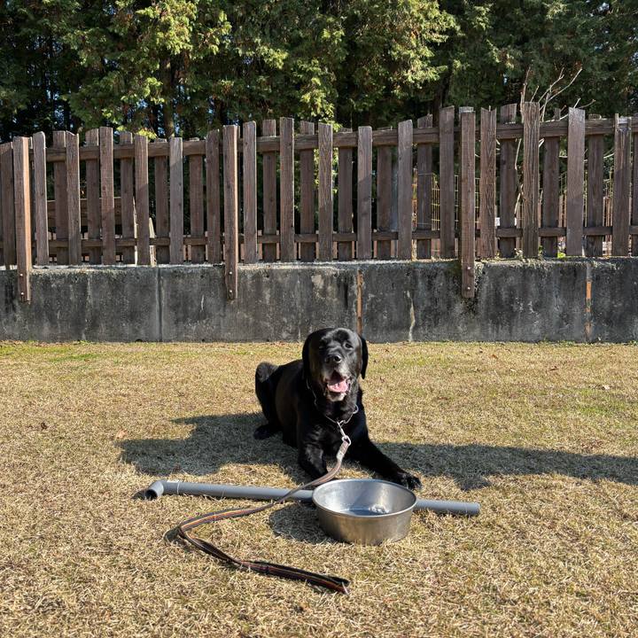 B753d507 0596 497e a73d 7e09b8e4d8e2 1765116861275