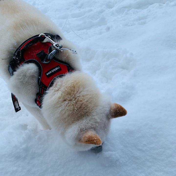 B753ea9b 760c 4da4 bbbb 6cfab16d4f42 1612066528690