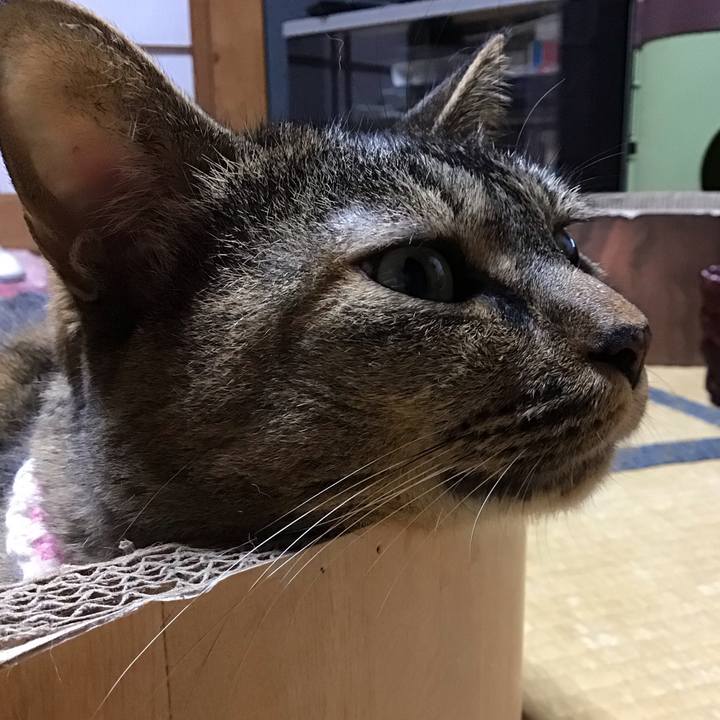 B753f840 cb5f 4c6a b79c efd6a0bf7592 1723801541618