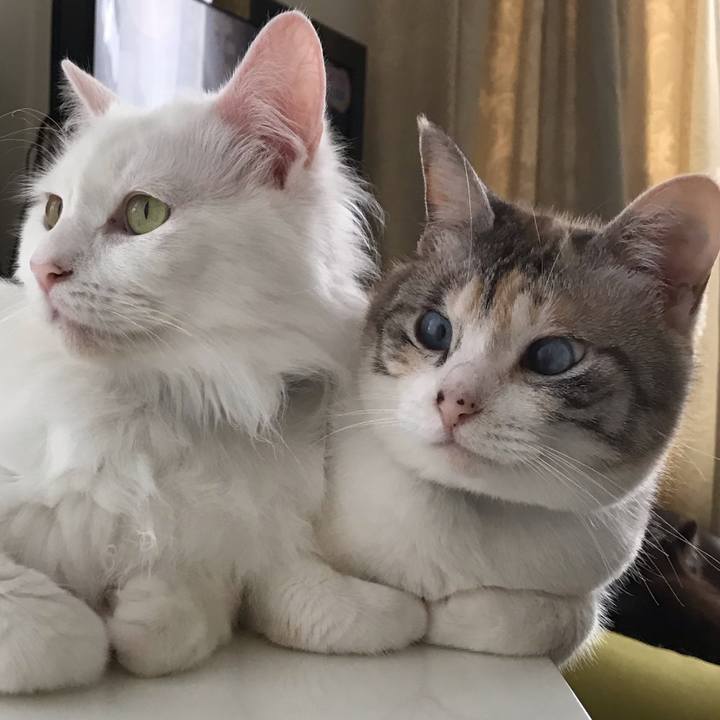 B753f8df 61ea 4617 af0d ef247ec37d07 1560048755890