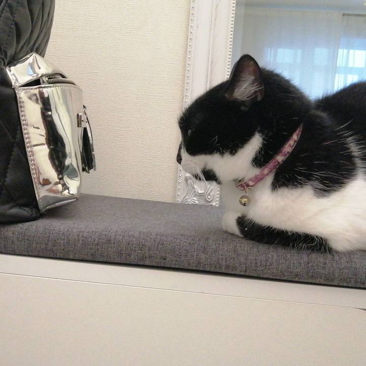 B7545d6b f910 4888 bc57 634bdb2f624d 1623950909507