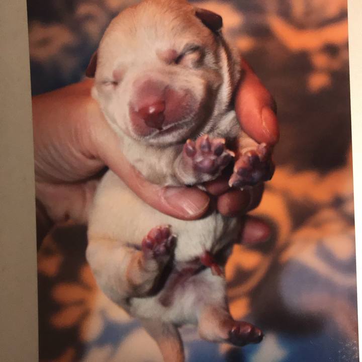 B7548277 0156 41b6 b9a5 4d07af3ab414 1569304510461