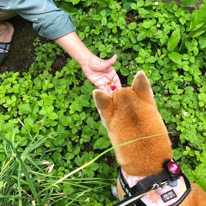 B7549268 0e57 4044 8476 90152ddae61b 1592876764817