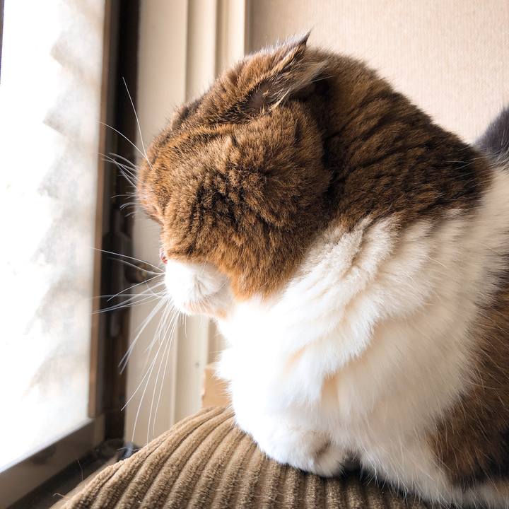 B754a566 561b 49ab 9b58 c1fc25dbf42b 1552373539538