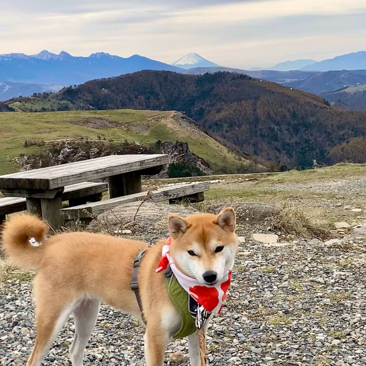 B754b369 98cd 4f34 917b 01b00a06dd30 1667910615119