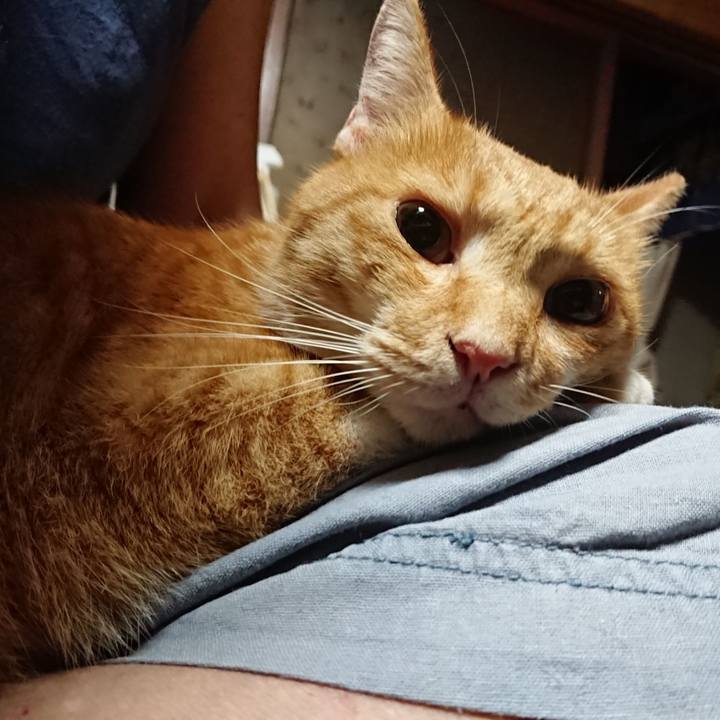 B754b3d4 3d1d 4b8d aa5d 5f3fa4d1d81c 1599681707573