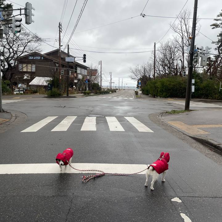 B754d8c5 39c4 4323 94c5 9091d9d55e25 1773533686666