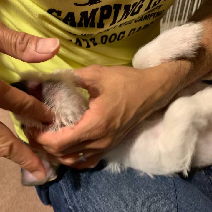 B754f5ce b26f 4853 b506 233c0e6f306b 1561203272494