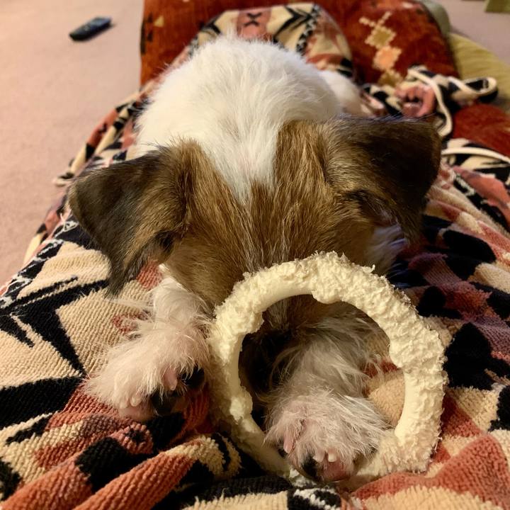 B7550476 dea0 4df7 888a 1e5c8020e313 1603889500276